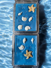Load image into Gallery viewer, Clamshells - Designs may vary