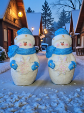 Load image into Gallery viewer, Sale Do you Want to Build a Snowman?
