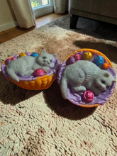 Load image into Gallery viewer, Cozy Kitten
