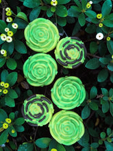 Load image into Gallery viewer, HEY, SUMMER (ROSE)
